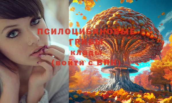 гашик Абинск