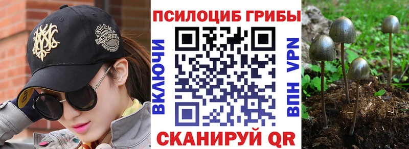 где купить наркотик  Псков  Галлюциногенные грибы MAGIC MUSHROOMS 